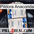 Píldora Anaconda kamagra1